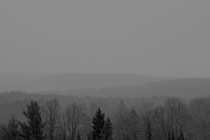 DSCF3986