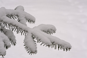 DSCF4094