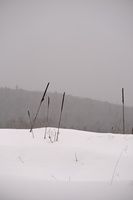 DSCF3997