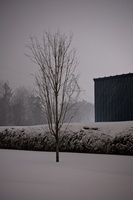 DSCF4161