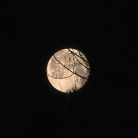 DSCF4192