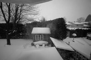 DSCF4373 01