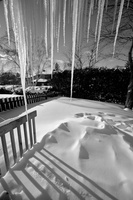 DSCF4411