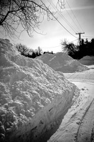 DSCF4474 01