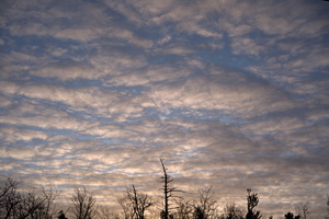 DSCF4484