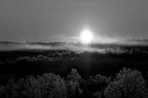 DSCF4655