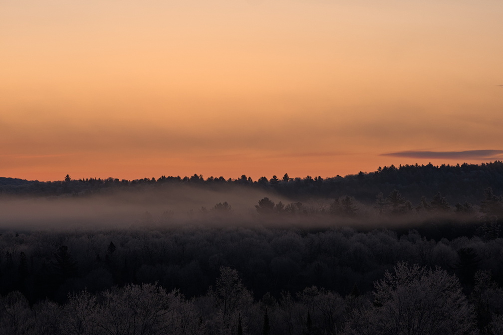 DSCF4599.jpg