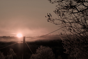 DSCF4646
