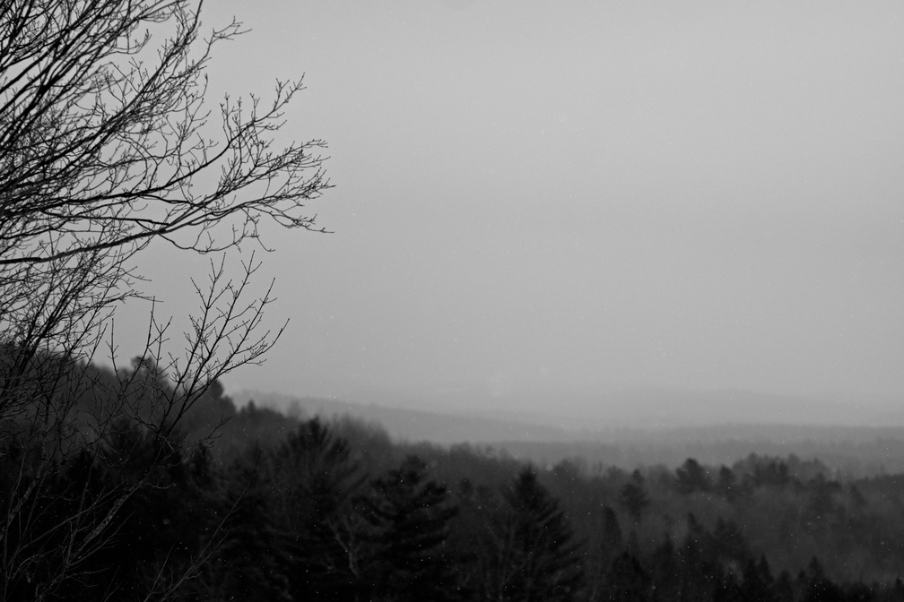 DSCF4705.jpg