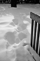 DSCF4785