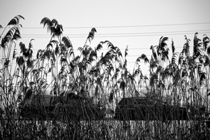DSCF4910