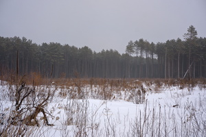 DSCF4882