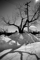 DSCF4956 01