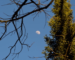 DSCF5039 01