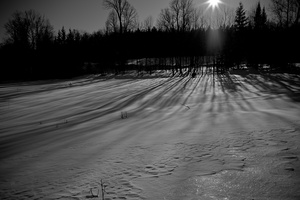 DSCF5023