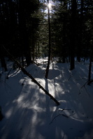 DSCF5082