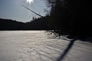 DSCF5136