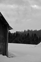 DSCF5182 01