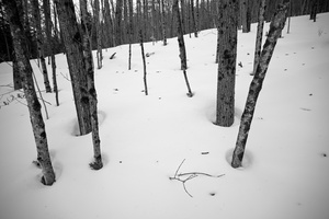 DSCF5142