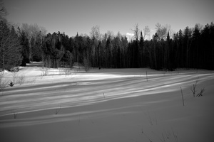 DSCF5060