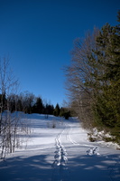 DSCF5075
