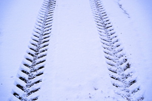 DSCF5236