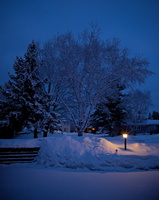 DSCF5197 01