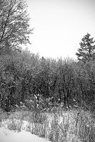 DSCF5249