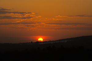 DSCF5455