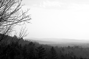 DSCF5488 01