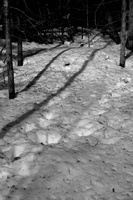 DSCF5584 02