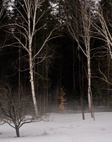 DSCF5612 01