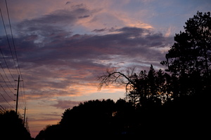DSCF5711