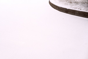DSCF5978