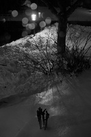 DSCF6233