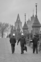 DSCF6592