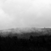 DSCF6639