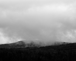 DSCF6641
