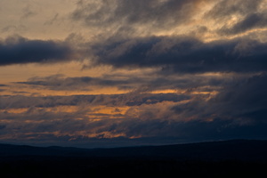 DSCF6646