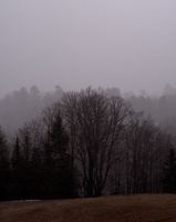 DSCF6665 01