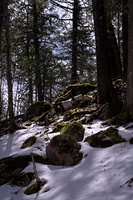 DSCF6698 01