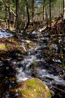 DSCF6727