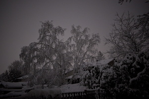 DSCF6826