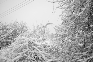 DSCF6842