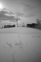 DSCF6930