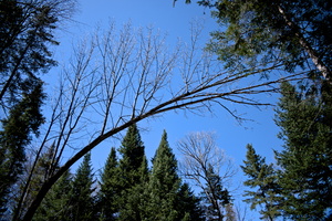 DSCF7361