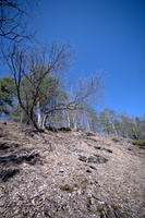 DSCF7382