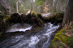DSCF7475