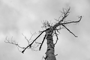 DSCF7845