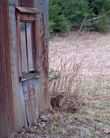 DSCF7839